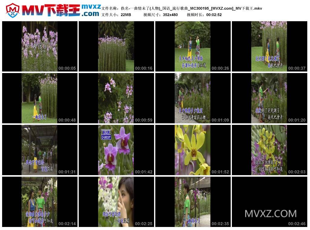 佚名-一曲情未了(人物)_国语_流行歌曲_MC300195